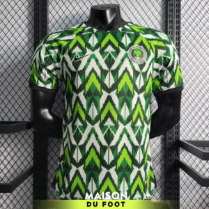 Maillot Match Nigeria Green Edition 2022/2023