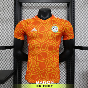 Maillot Match Algérie Concept Edition Orange 2023/2024